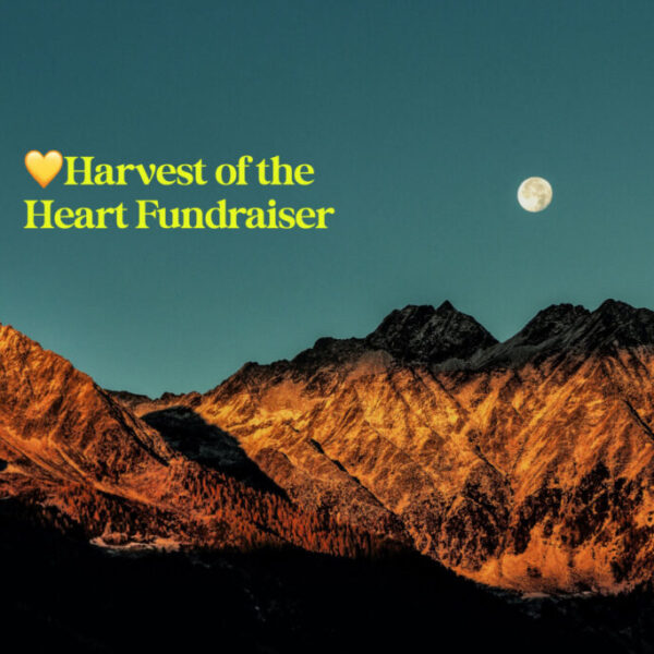 HARVEST OF THE HEART