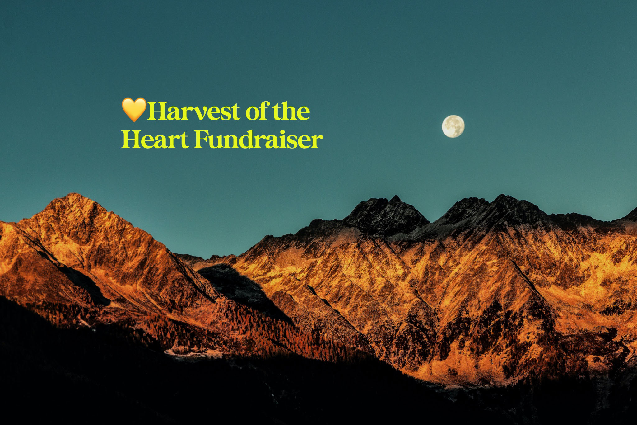 harvest-of-the-heart